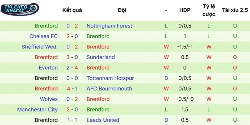 Kết quả 5 trận đấu có mặt Brentford thời gian gần đây 