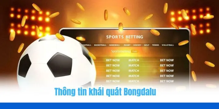 Bongdalu - Website hàng đầu chuyên cập nhật kèo bóng đá 1 Giới thiệu khái quát về nền tảng Bongdalu